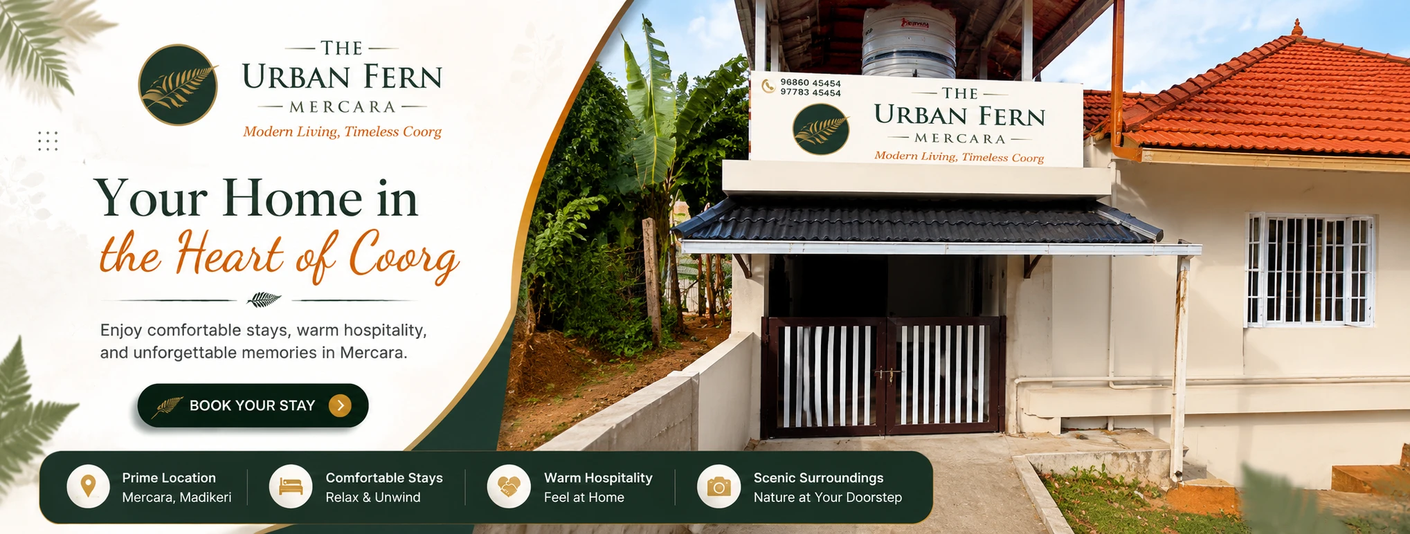 the urban fern mercara